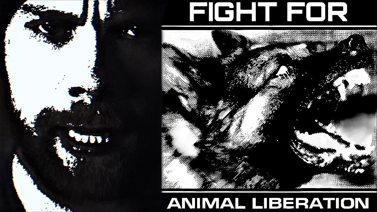 They Better Be Watching Their Backs