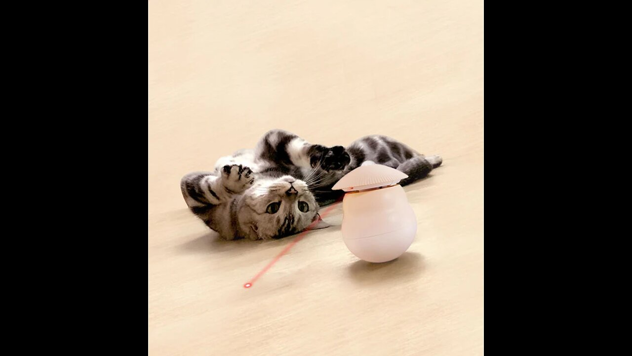 Automatic Laser Infrared Cat Teaser Toy