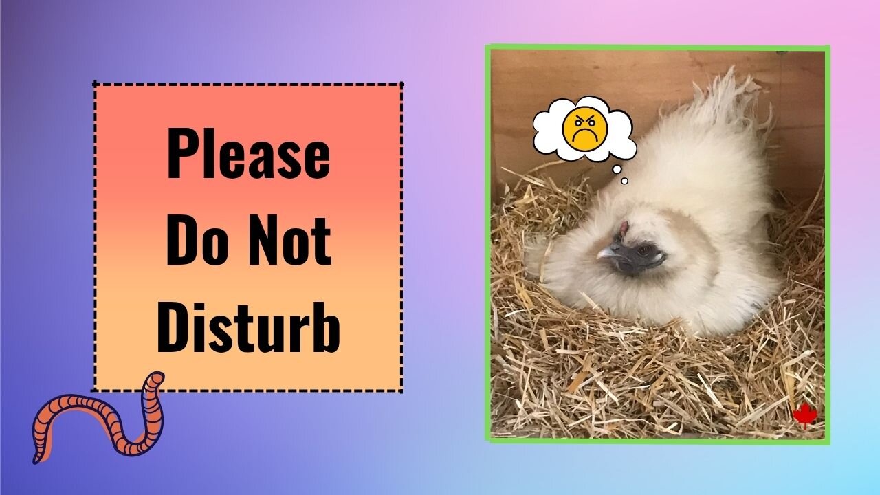 Someone is Cranky!