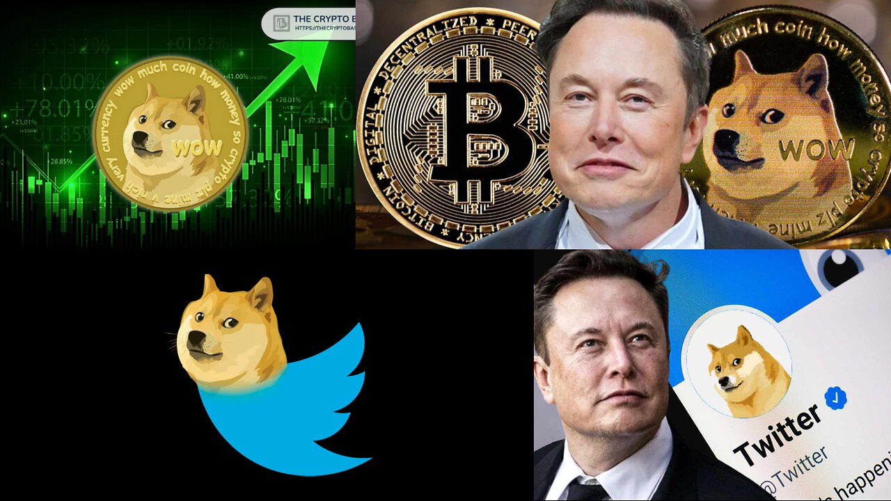Elon Musk Kills Dogecoin Hopes: D.O.G.E. Has NOTHING To Do With Crypto