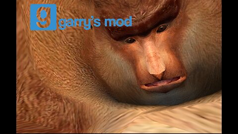 Garry's Mod z ekipą