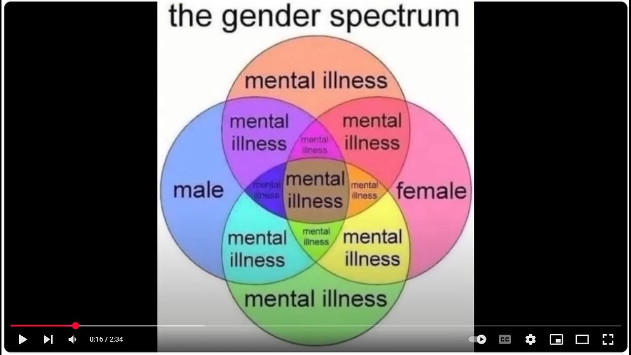 The Left is Insane