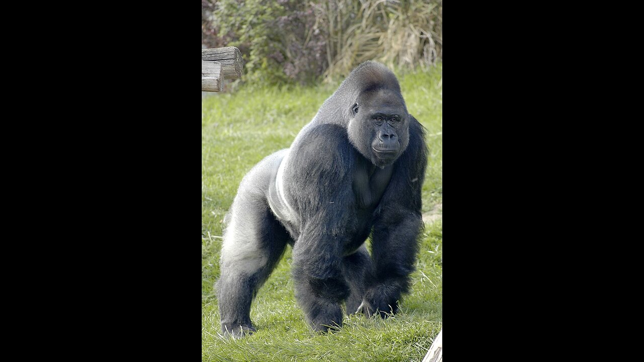 On Safari in Texas...