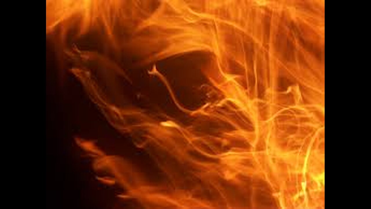 Fighting through Life