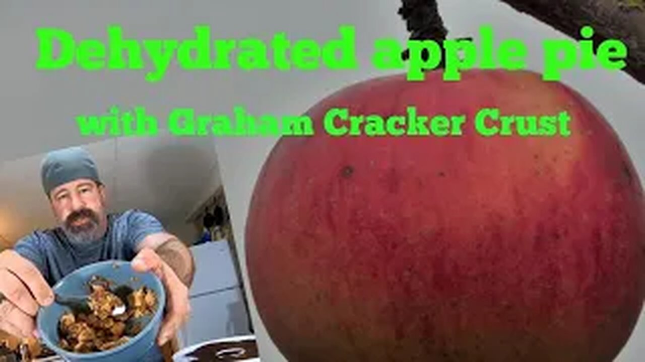 Dehydrated Apple Pie with Graham cracker crust