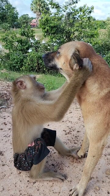 Best SokYaa, OG, Pao & Mom Are Famous Around The World #shorts #anime #trend #edit