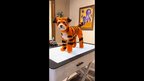 The Tiger Dog