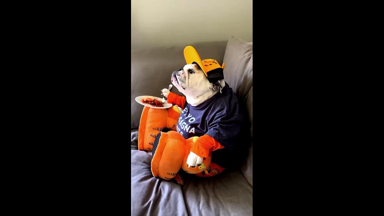 Caught Him Eating Lasagna in My Clothes 😭🐾 Caught Him Eating Lasagna in My Clothes 😭🐾