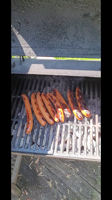 4th Of July 2025 Cookout Grilling Wieners