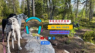 Skogpod 26. mai 2025