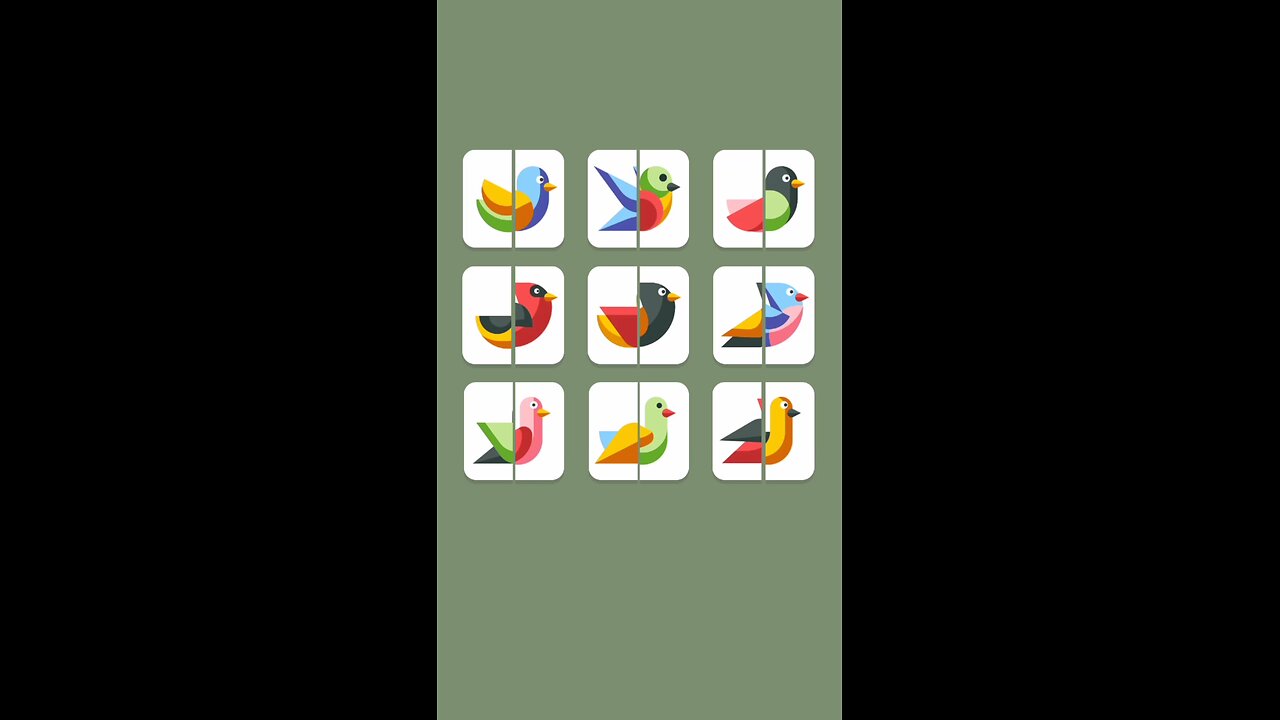 match Bird tail