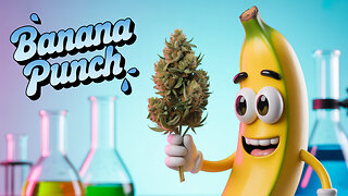 Banana Punch @ #jkdistro
