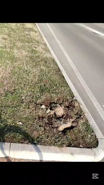 che succede a Magenta?