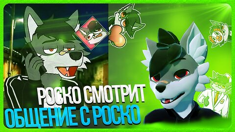 🐺 Роско смотрит Андрона - Общение с ‪Rosko