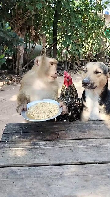 Best SokYaa, OG, Pao & Mom Are Famous Around The World #shorts #anime #trend #edit