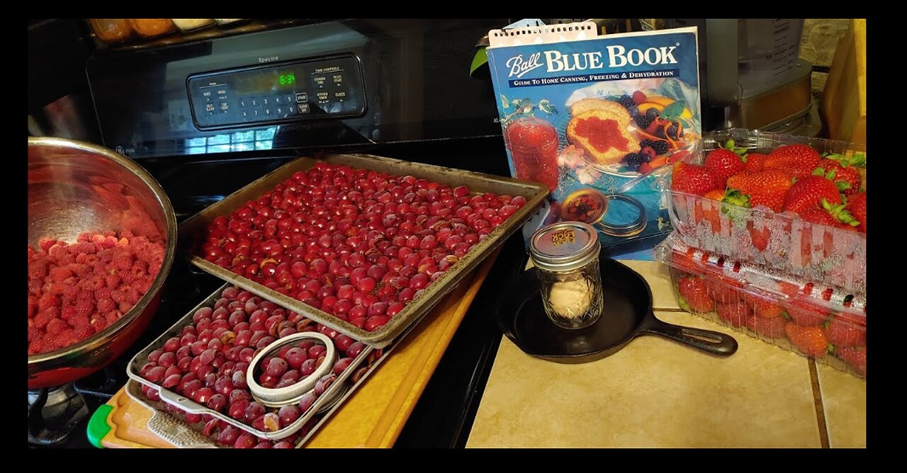 How To Procrastinate Making Preserves 🍒 Red Berries, Strawberries 🍓 Raspberries & Cherries