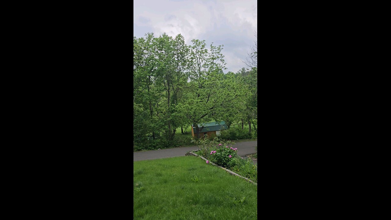 helicopter fly over