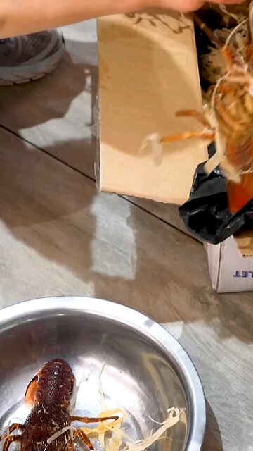 I made crayfish and prawns for dinner