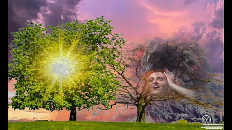 A Tale Of 2 Trees, Lust Or Life - Ty Dyess