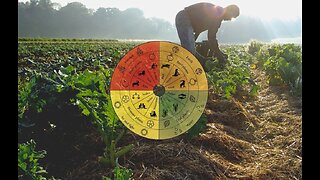 Self- sufficiency, Planting And Growing For Health: Biodynamics- With Hans Gunther Kern