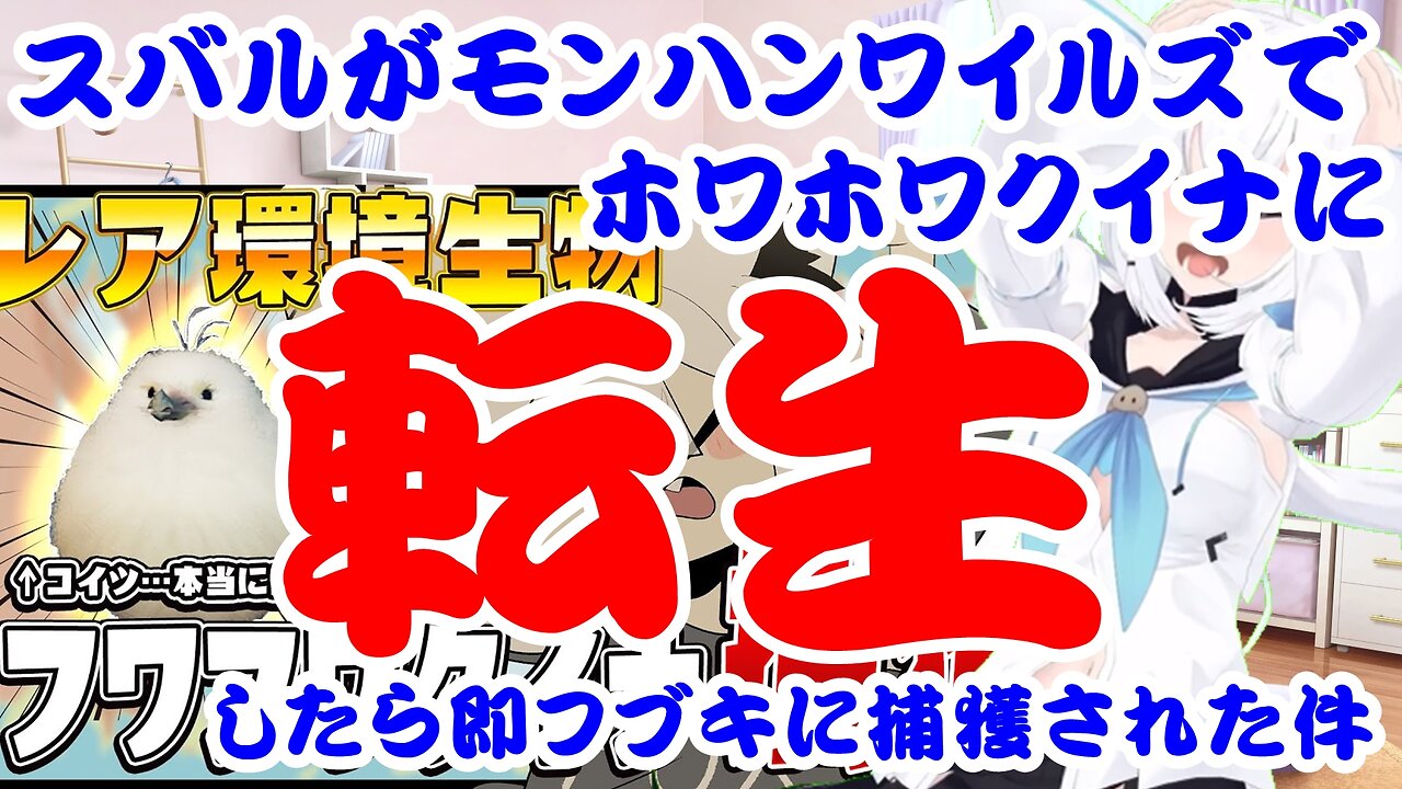 Subaru was captured by Fubuki immediately after she was reincarnated.