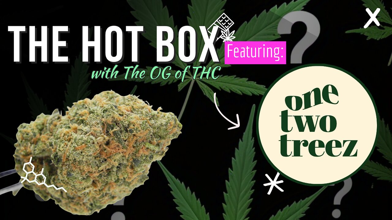 SHAKE, FLOWER & ROLL (UP) | THE HOT BOX 🔥📦 - ONE TWO TREEZ