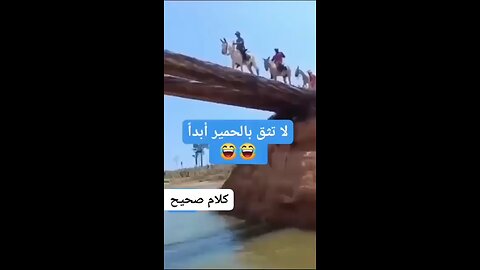 don't trust donkeys