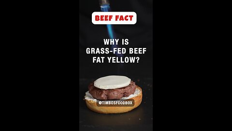 Yellow fat on your steak?
