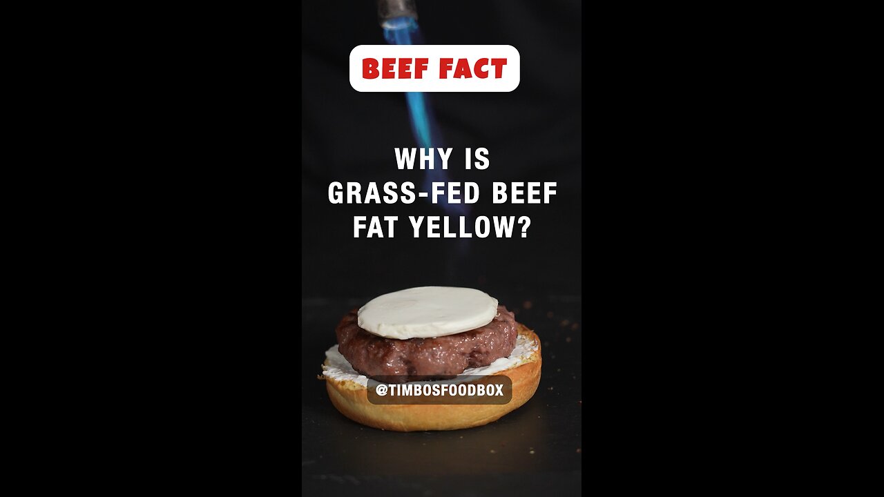 Yellow fat on your steak?