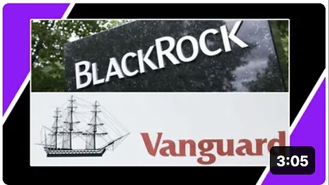 "Understanding Blackrock and Vanguard Group"