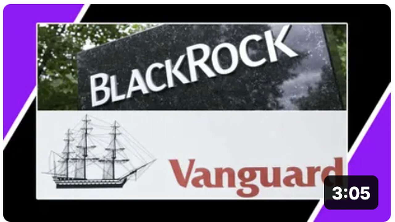 "Understanding Blackrock and Vanguard Group"