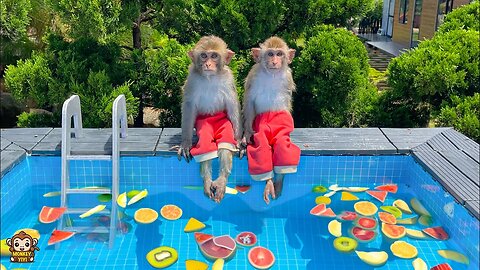 YiYi takes YinYin swimming in the pool full of fruit makes him very happy