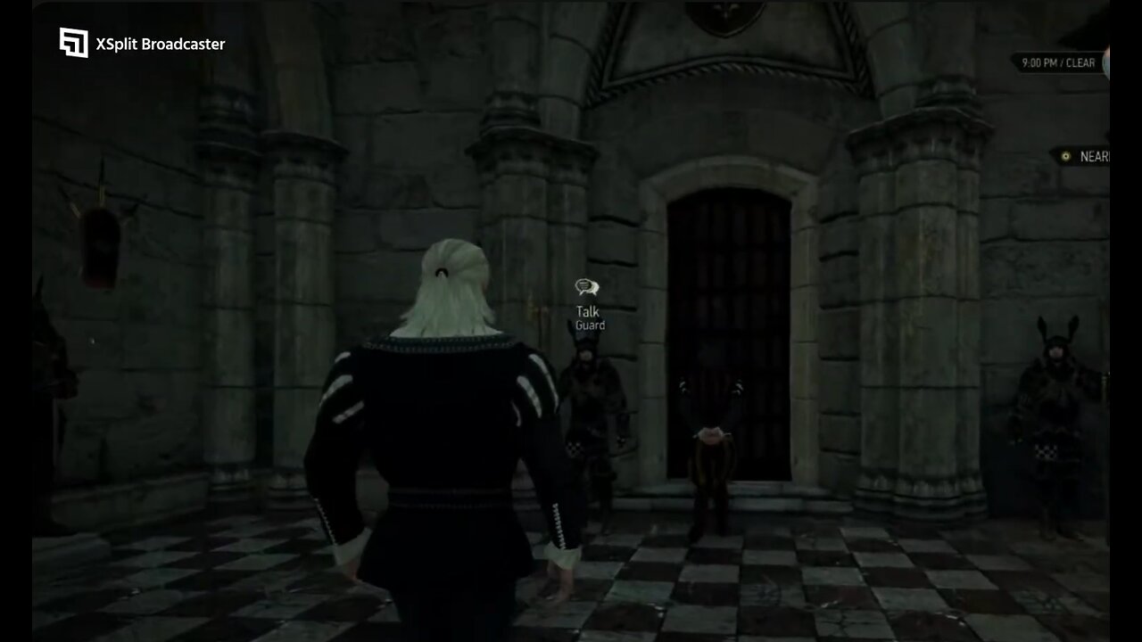 WITCHER 3 royal palace bantering around