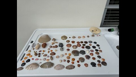 Beach Finds 1/14/2026 | 4K