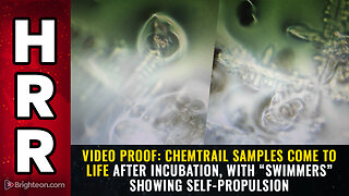 VIDEO PROOF: Chemtrail samples COME TO LIFE after incubation...