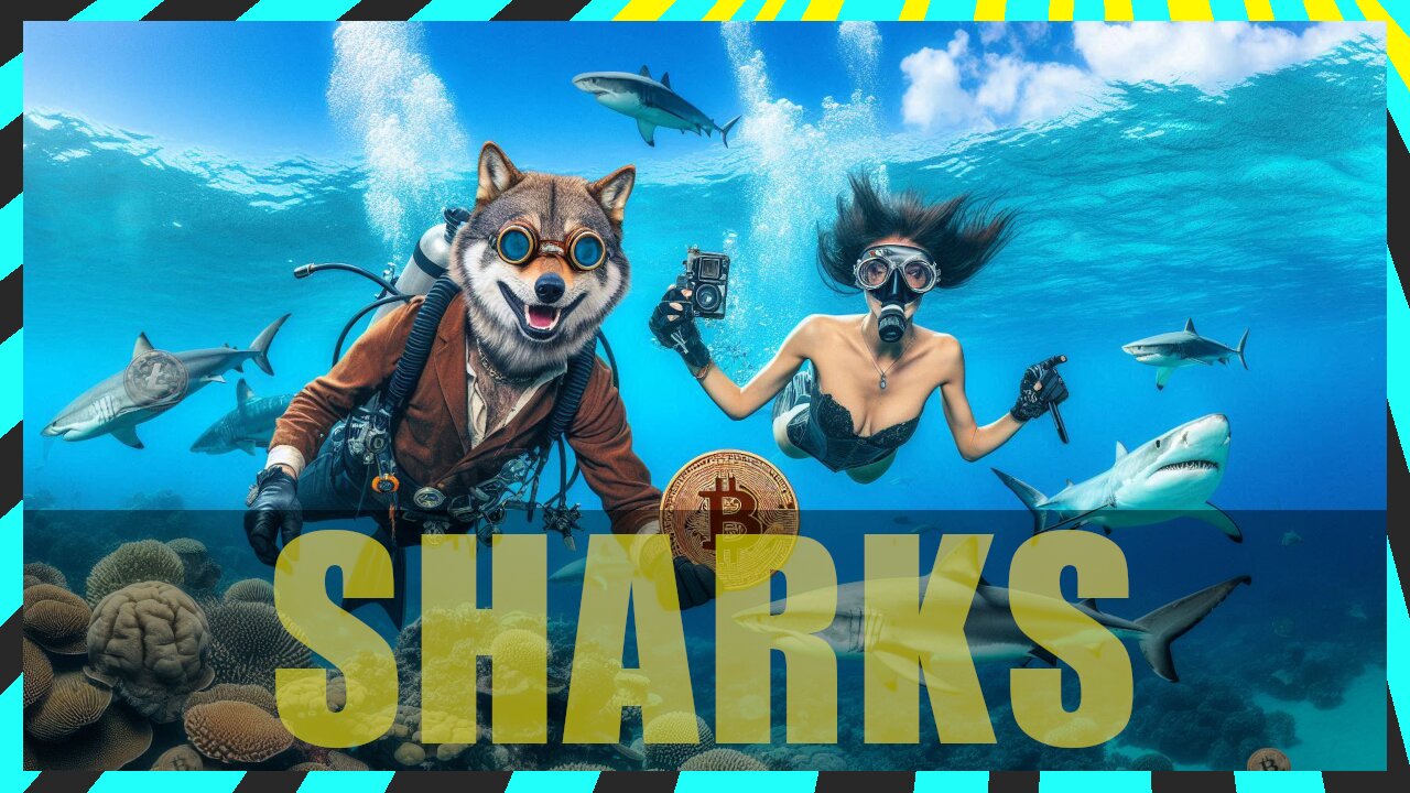 🐺 Bitcoin, Alts and Trad Markets Swim with Sharks 🐺🚨LIVESTREAM🚨