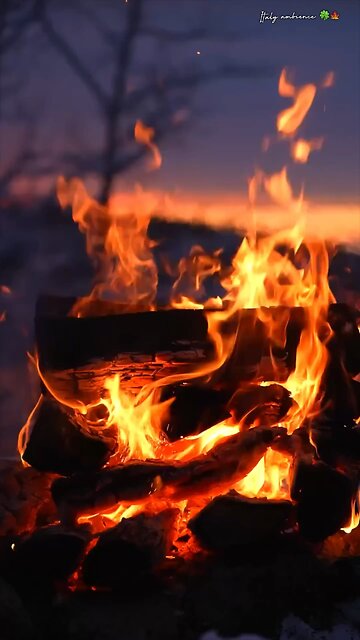 The rhythmic crackling of the flames is a soothing lullaby, perfect for relaxation.