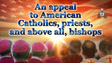An appeal to American Catholics, priests, and above all, bishops
