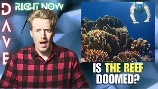 Reef Hype EXPOSED: Here’s What They’re Not Telling You