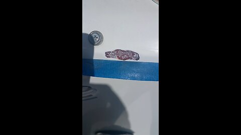 gel. ost repair