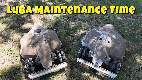 Luba Maintenance