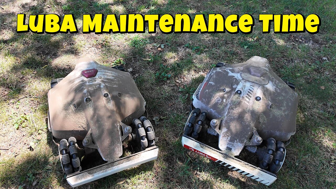 Luba Maintenance