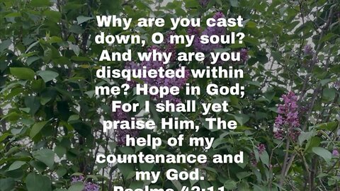 Psalms 42:11