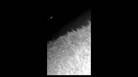 Drones in rural texas!