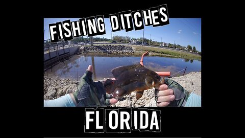 Fishing Ditches- Florida