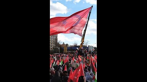 🔥 “They All Raised the Flag 🇵🇸 | Global Streets Filled with Palestine Supporters”