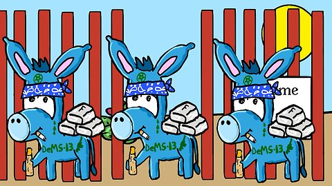 DeMS-13