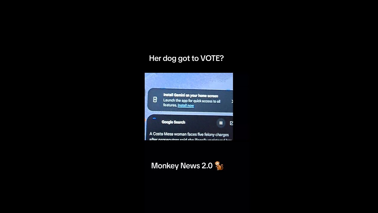 Her dog got to VOTE?