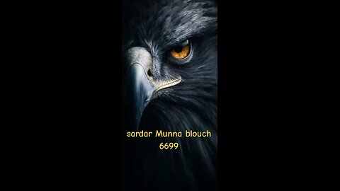 king blouch 6699