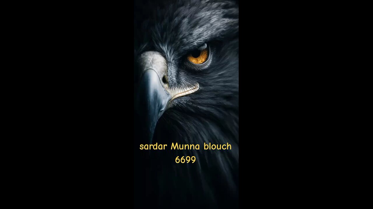 king blouch 6699